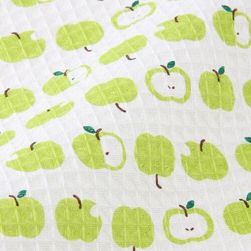 Dishcloth 家事布(2入)