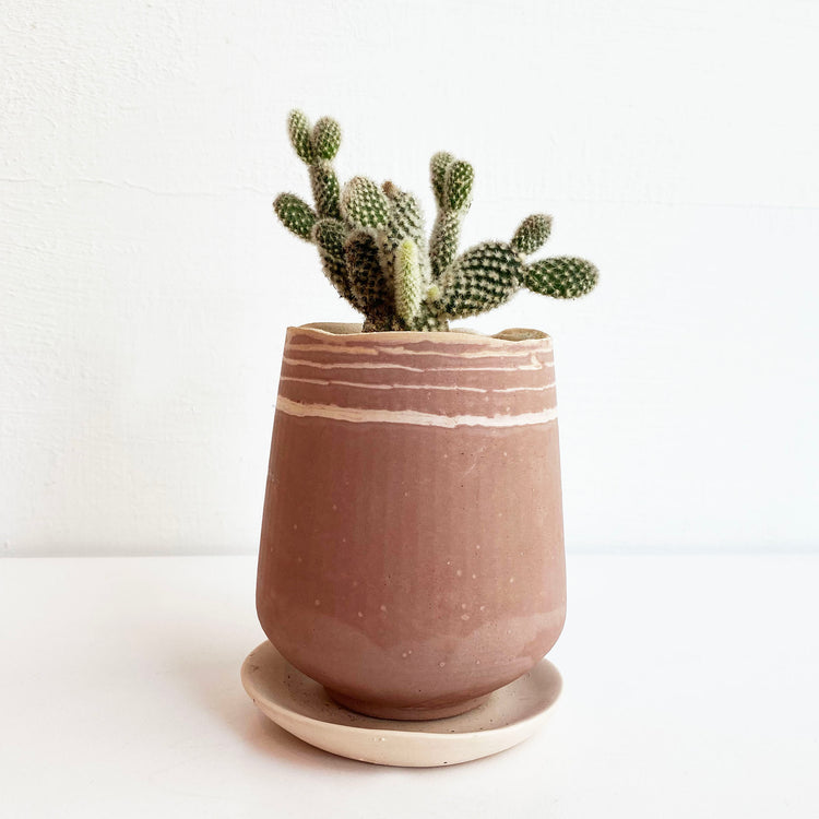植栽