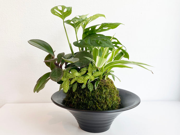 植栽