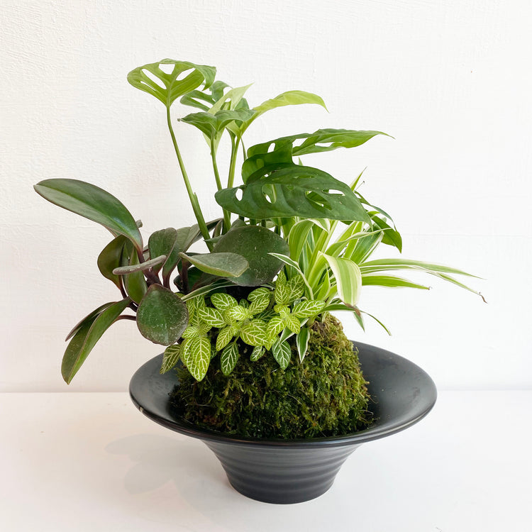 植栽