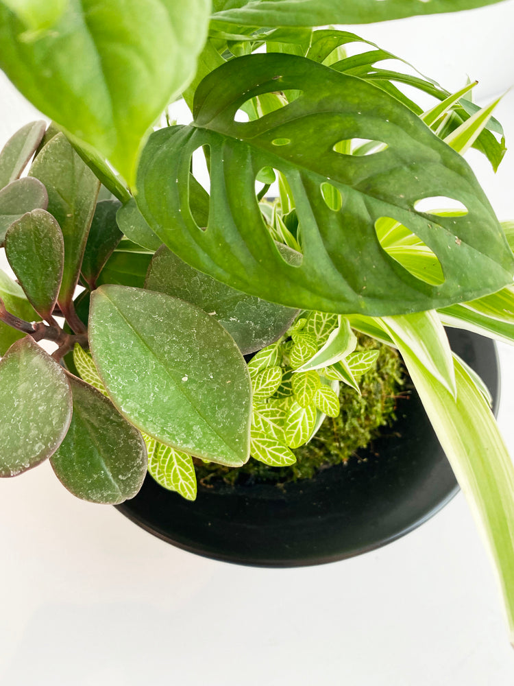 植栽