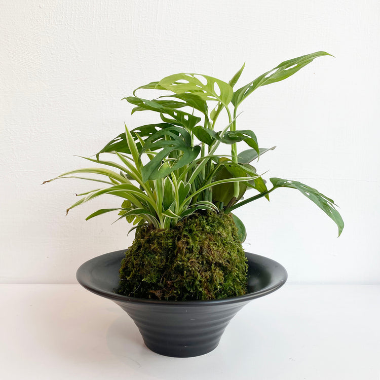 植栽