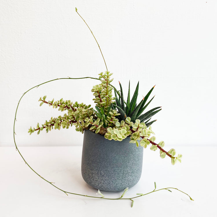 植栽