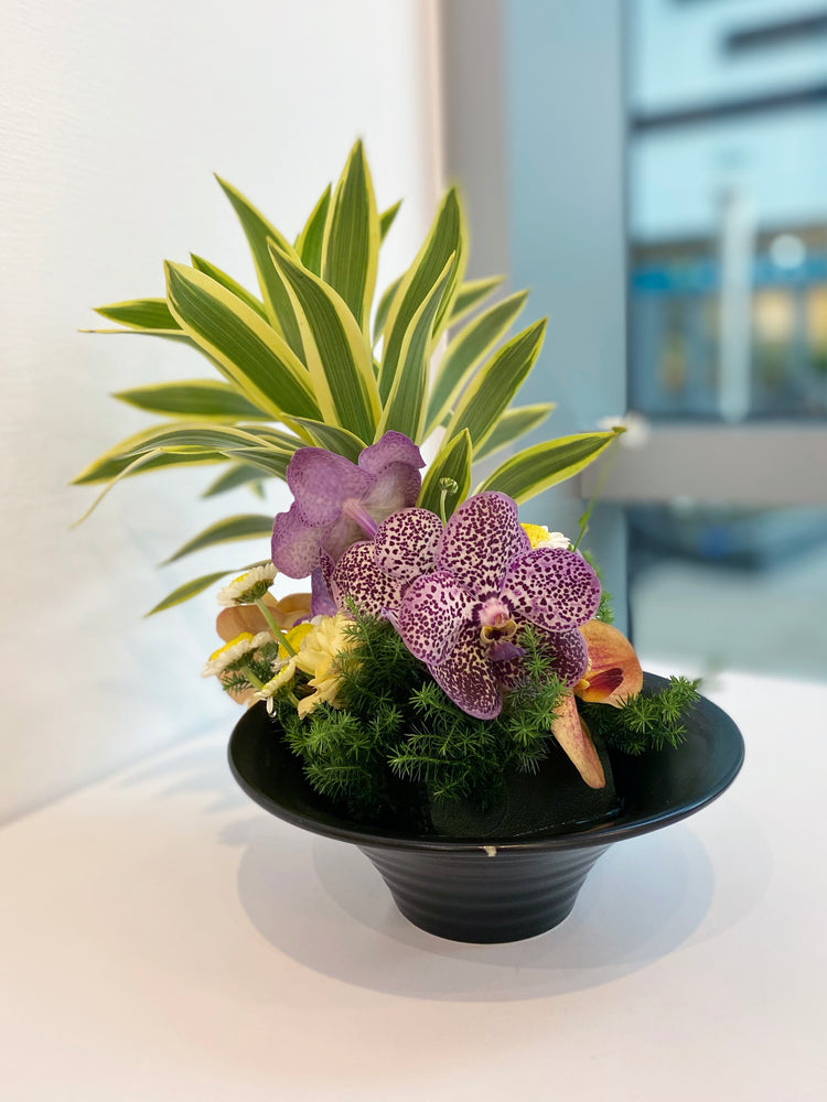 盆花