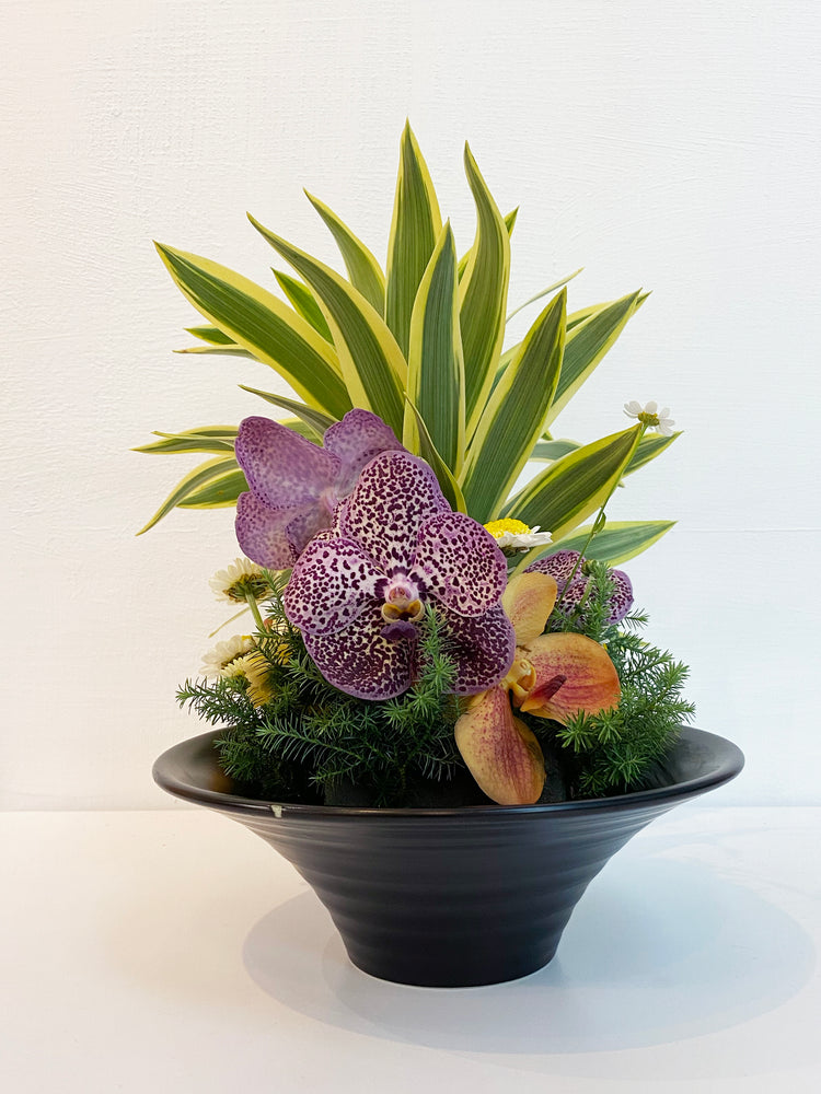盆花