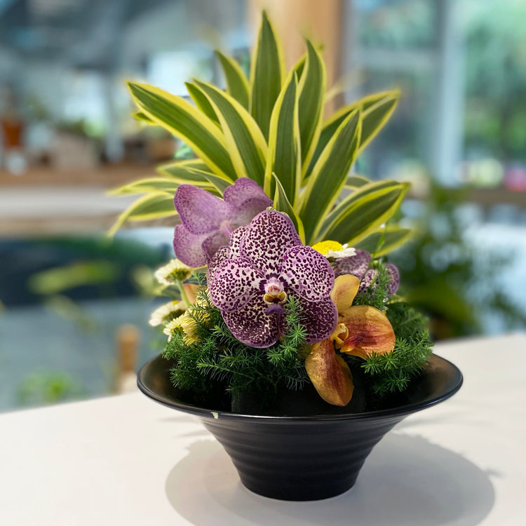 盆花