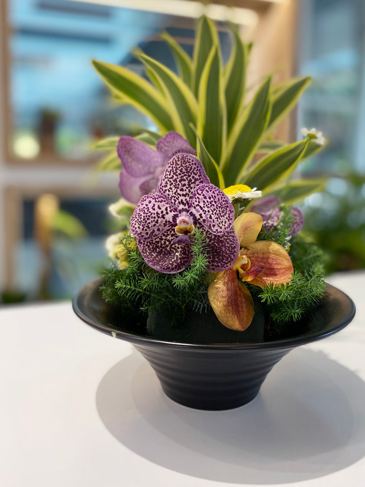 盆花