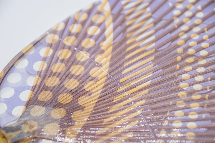 家田紙工 | 和紙扇 ROCK