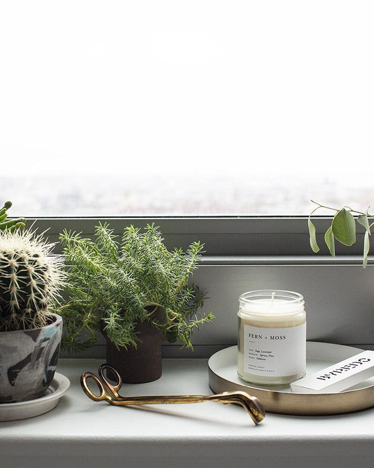 Brooklyn Candle|極簡系列『蕨醒苔蘚』