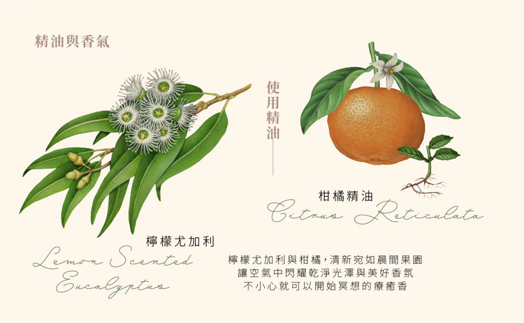 KOALA ECO｜檸檬香桃木＆橙-光澤洗碗精補充瓶