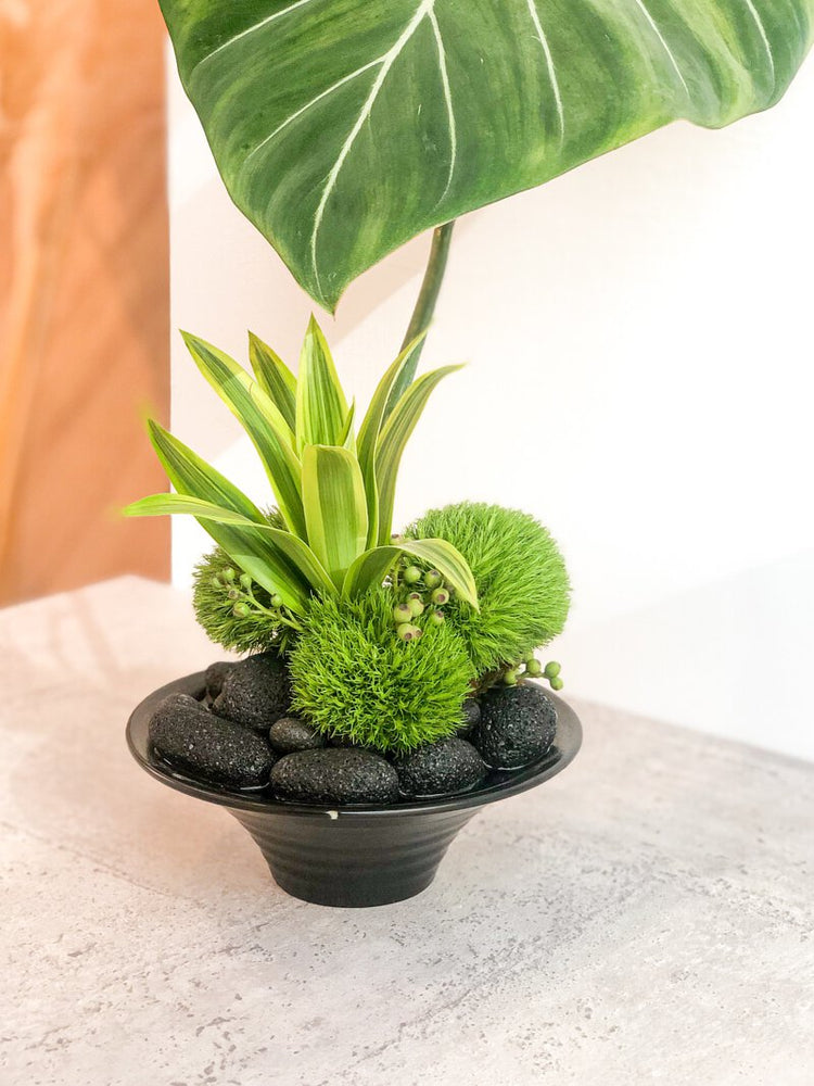 禪意植栽